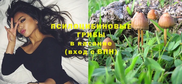ПСИЛОЦИБИНОВЫЕ ГРИБЫ Абаза
