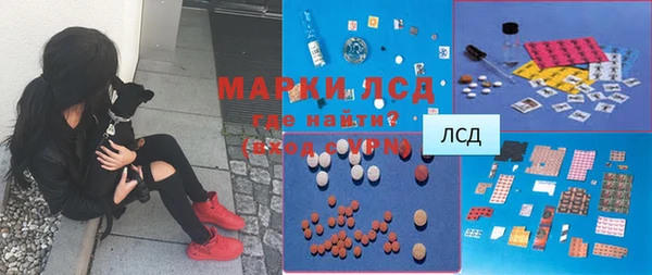 ПСИЛОЦИБИНОВЫЕ ГРИБЫ Абаза