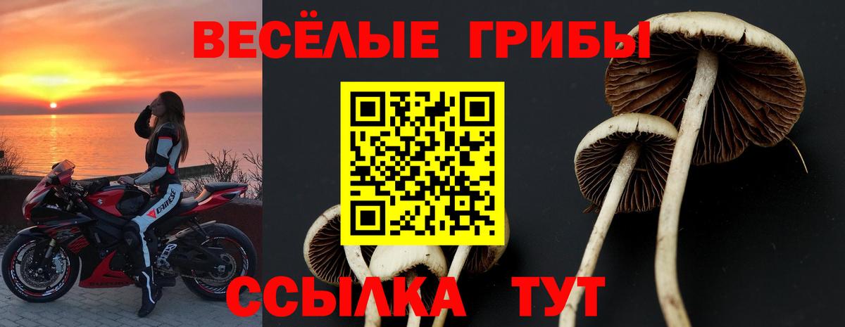 Старый Оскол  Галлюциногенные грибы ЛСД  Вход с VPN 